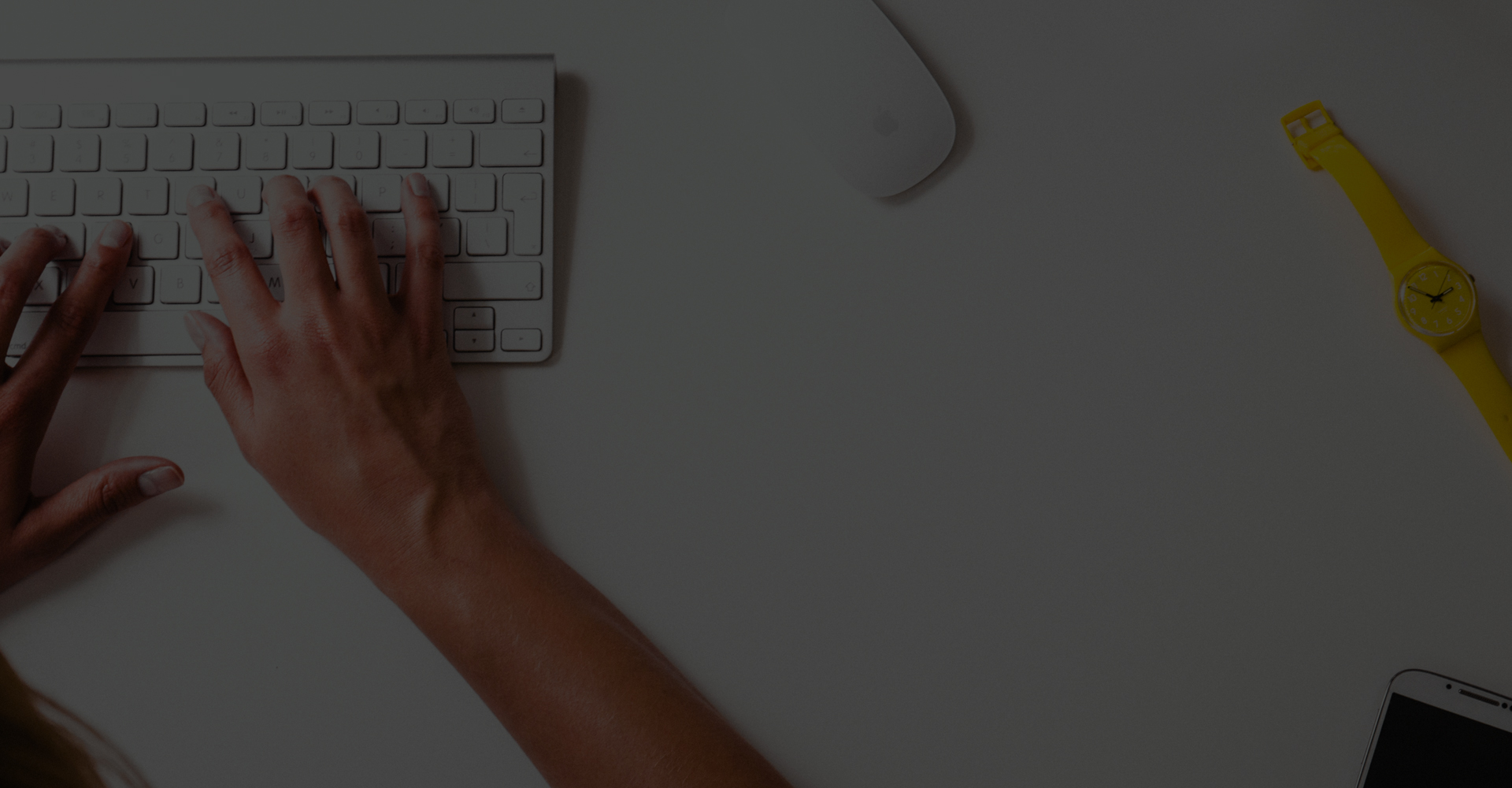 Project Management Consultation